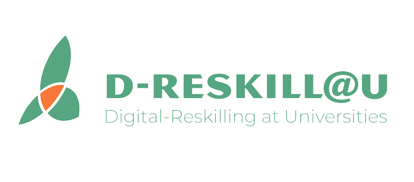 Logo D-Reskill
