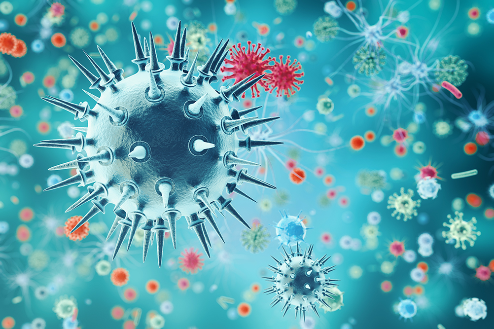 L'homme et les microbes. L'émergence des épidémies : réflexion prospective | FMSH