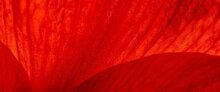 Bannière texturée rouge - En deçà du bien et du mal