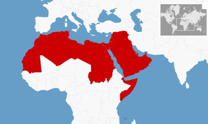 Carte présentant les pays concernés par l'appel