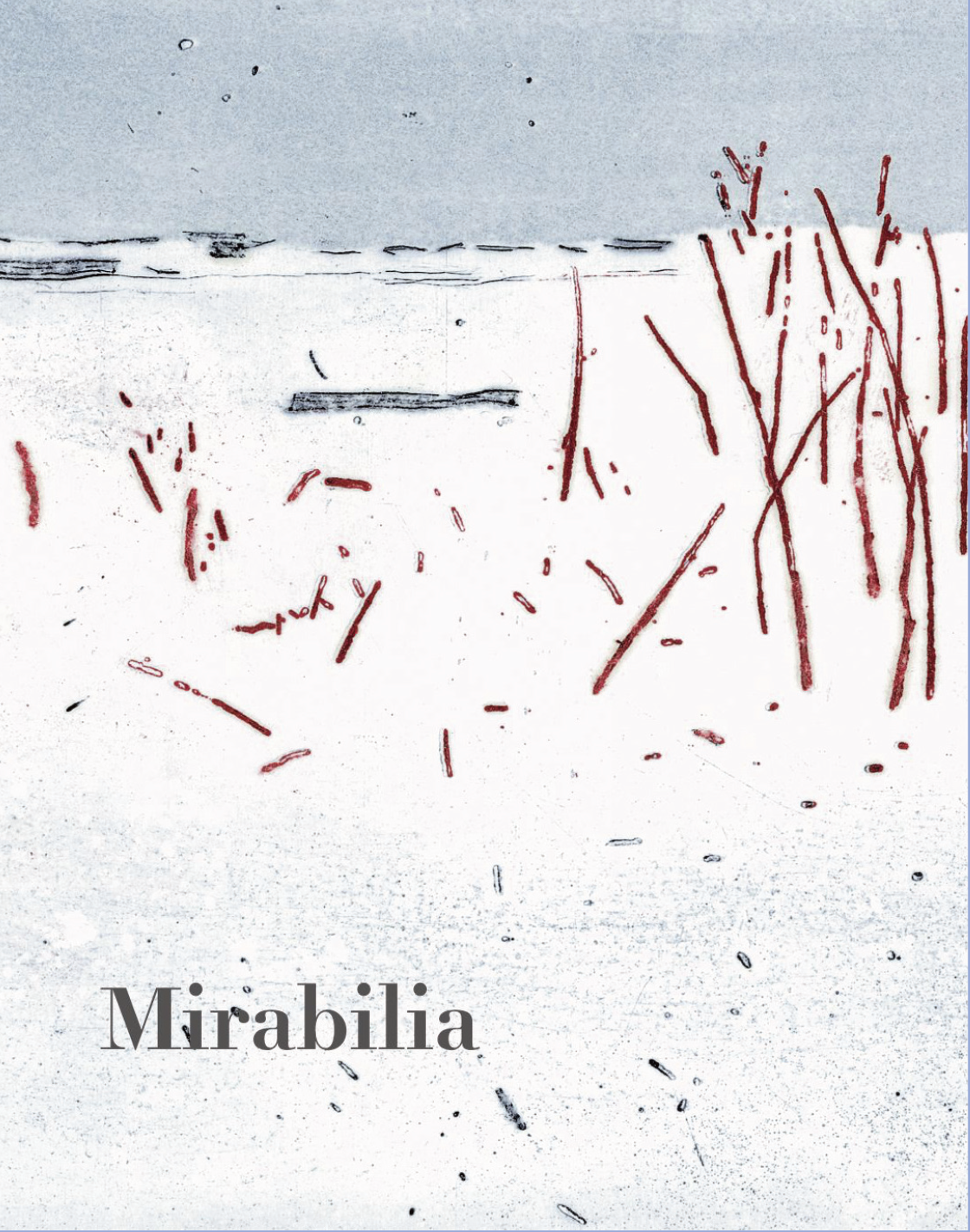 Revue Mirabilia