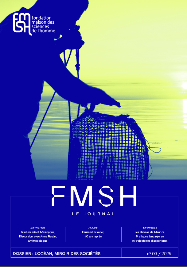 Couverture du Journal de la FMSH n°3