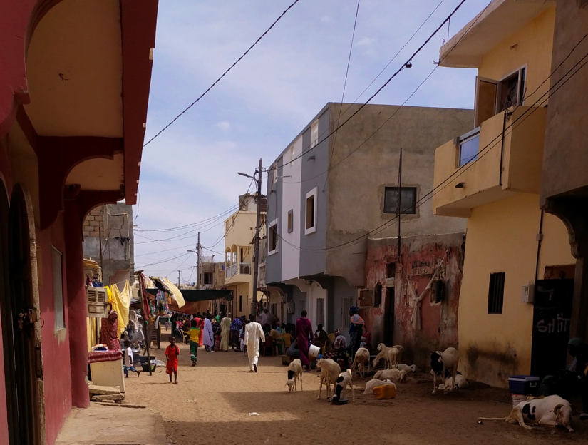 Delphine Sall, chercheuses de demain, visuel 