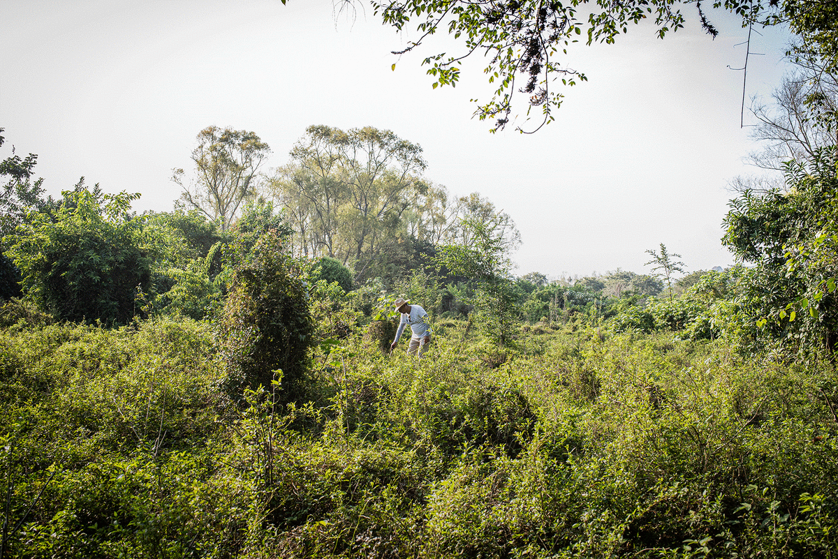 Article Emmanuelle Corne - retour sur le terrain mexicain
