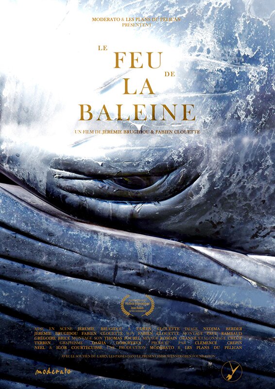 Affiche du film "Le feu de la baleine"
