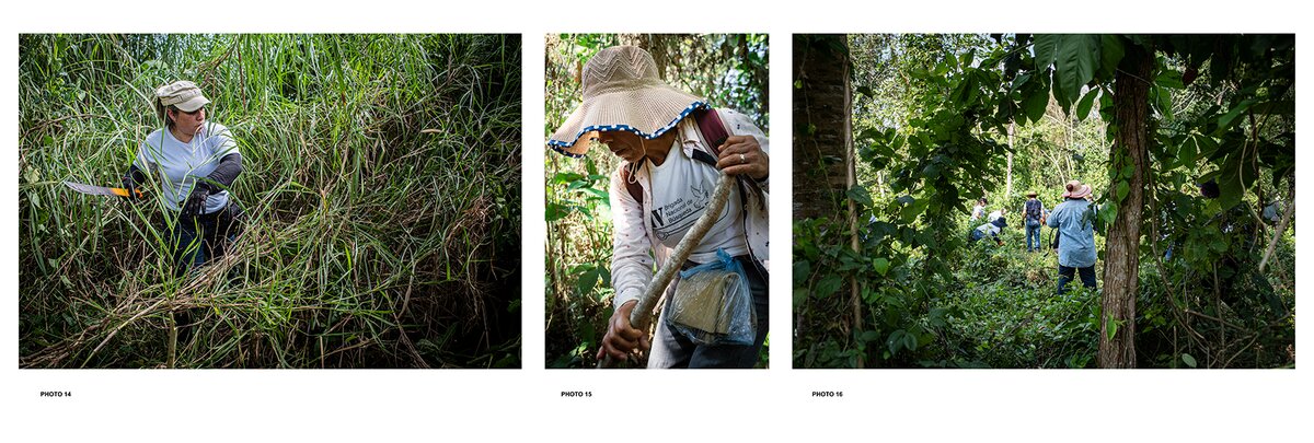 Article Emmanuelle Corne - retour sur le terrain mexicain