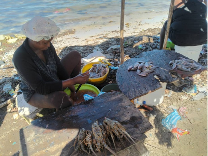 Pratiques de transformation artisanale de la sororité des commerçantes de la filière pêche à l’Île-à-Vache