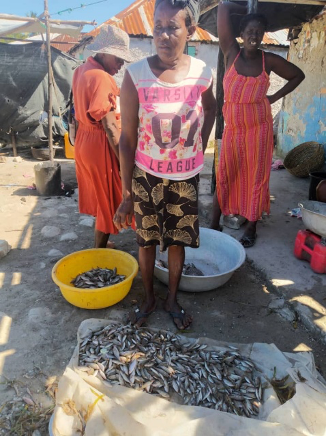 Pratiques de transformation artisanale de la sororité des commerçantes de la filière pêche à l’Île-à-Vache