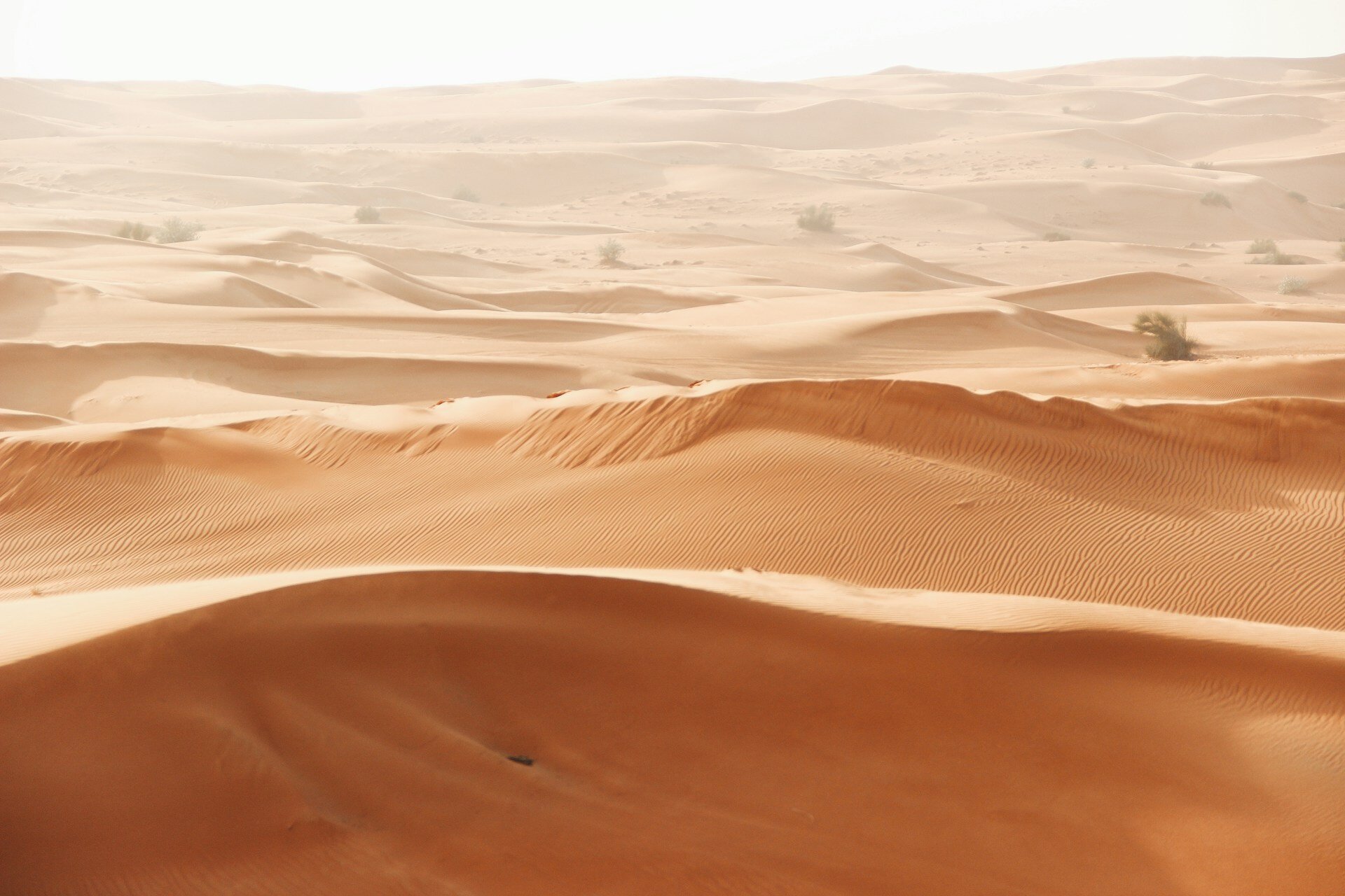 Dunes de sable