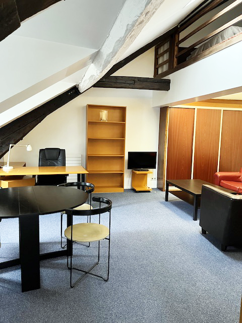Vue d'ensemble du studio 59 Maison Suger