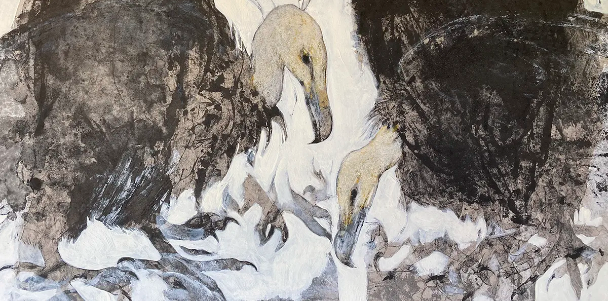 Bannière Animus Femina