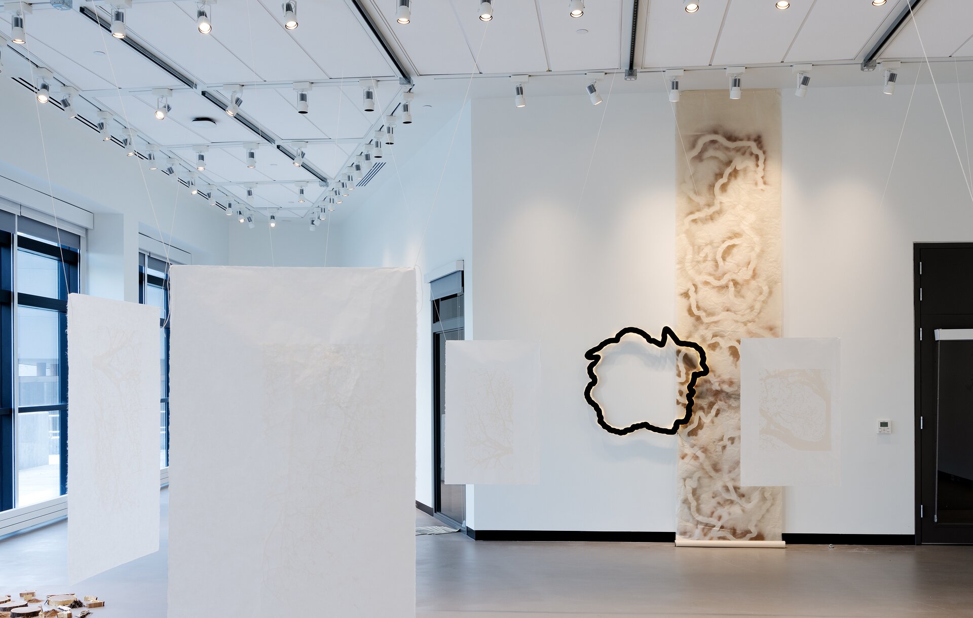 Jeudis de Suger-E. Koeva