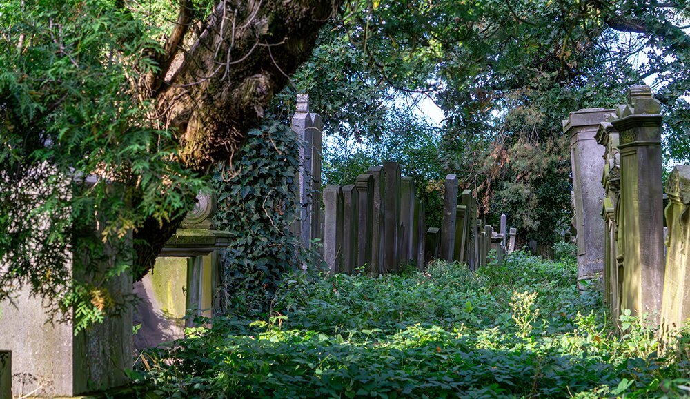 Musées de frontières (en terres frontalières) comme lieux de mémoire et d’oubli 
