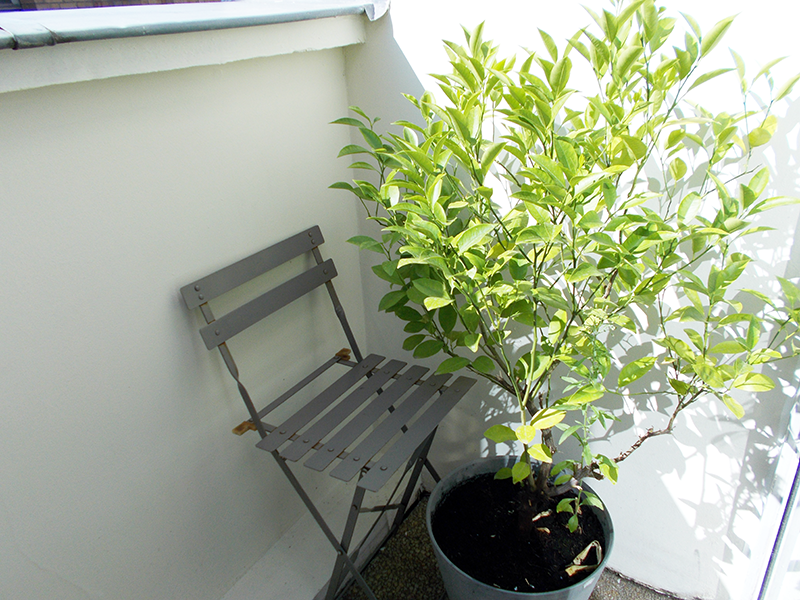 Balcon studio 35 Maison Sujer résidence de recherche Paris