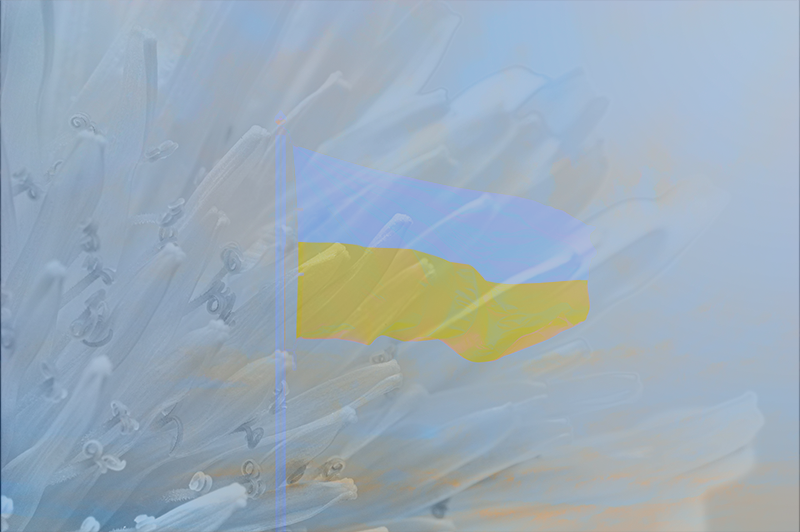 Drapeau de l'Ukraine