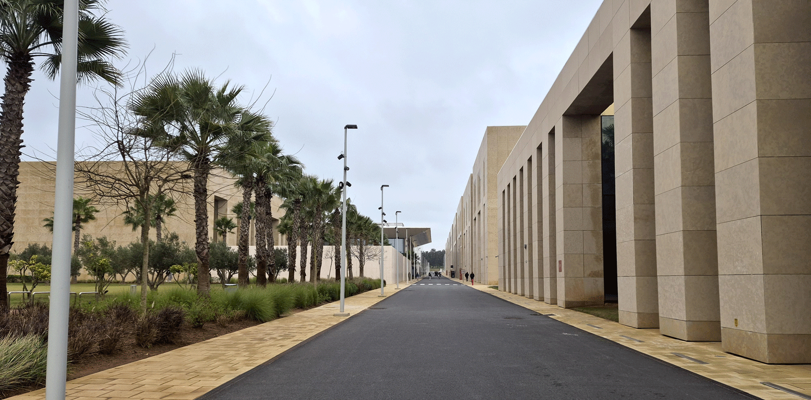 Université-Mohammed-VI