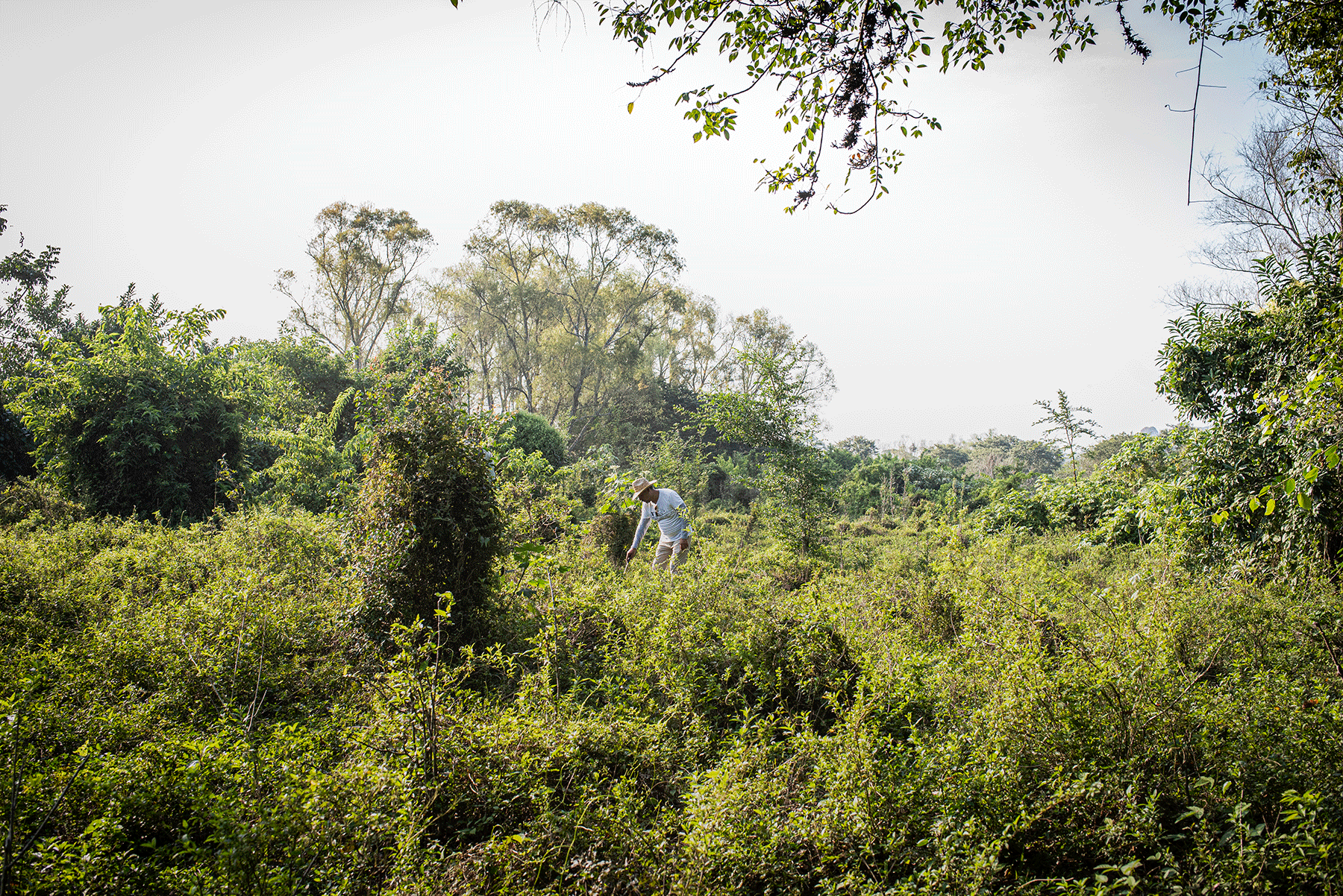 retour sur le terrain mexicain-article emmanuelle corne
