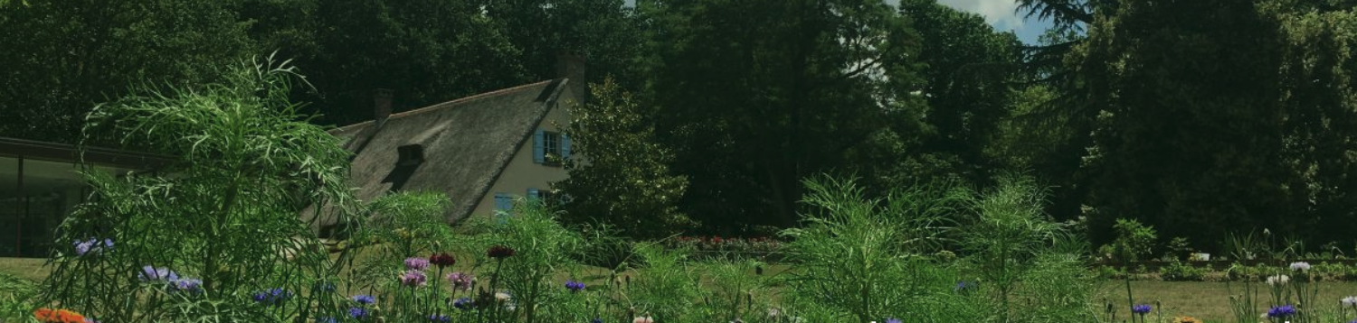 Jardins et paysages des architectes de l'Europe
