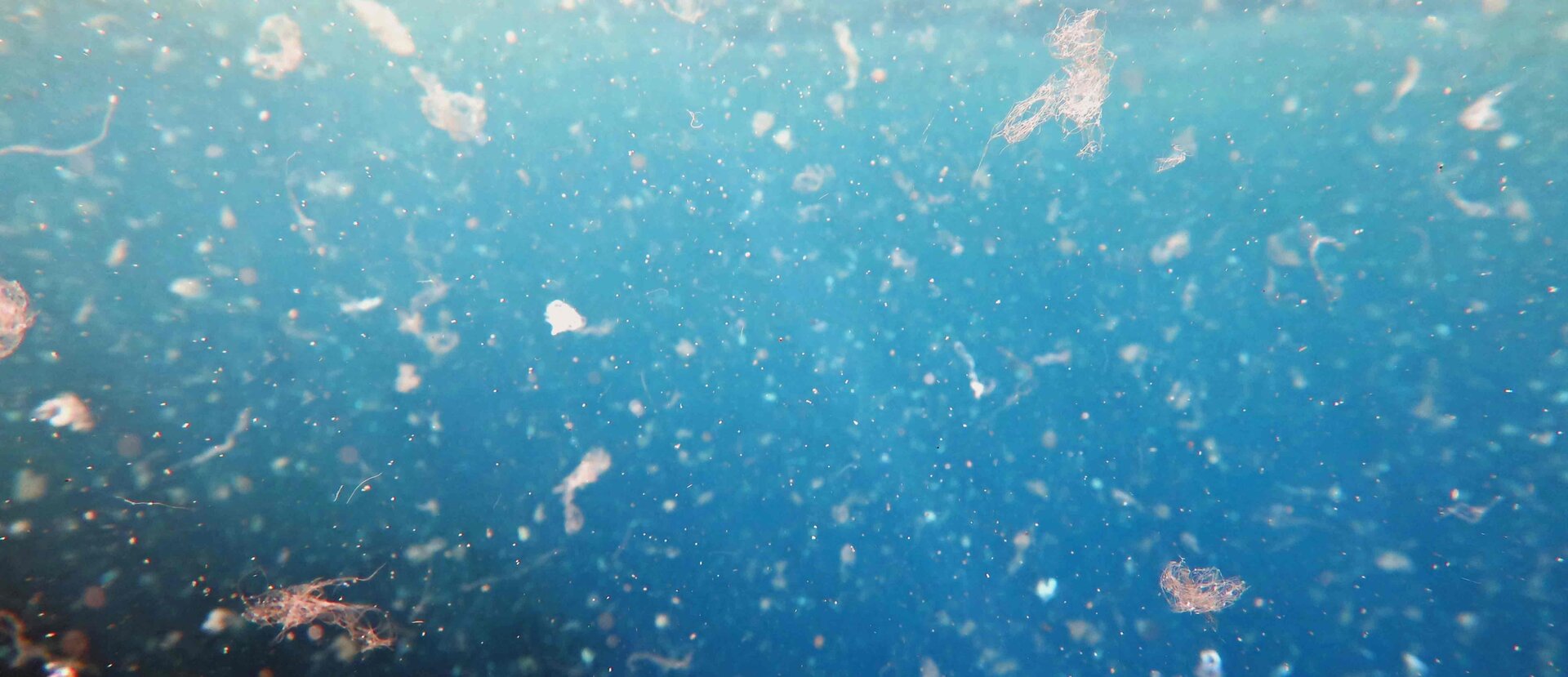 Pollution microplastique océanique