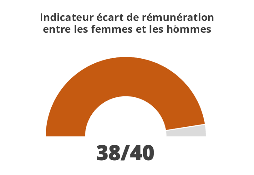 ibdicateur écart de rémunération entre les femmes et les hommes