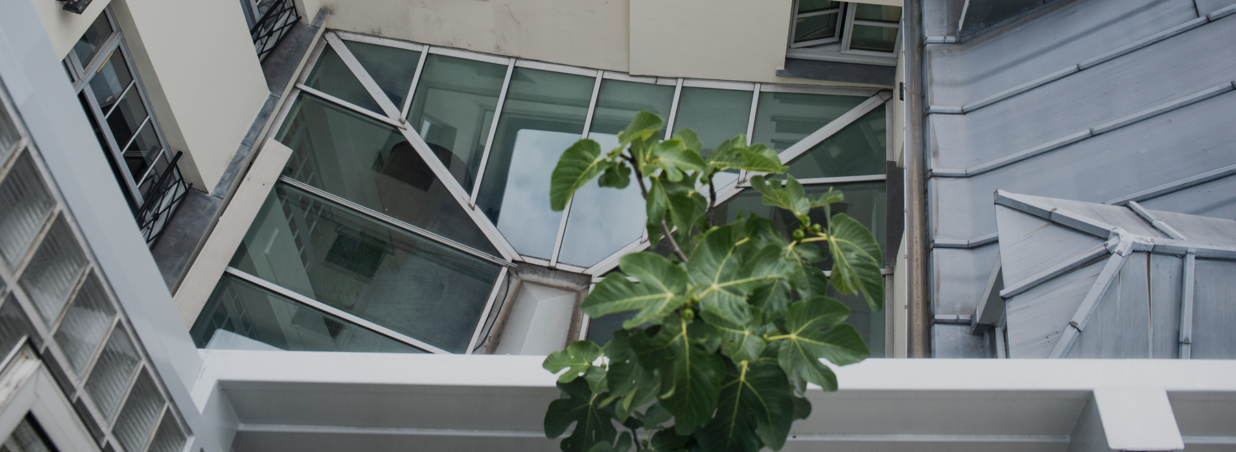 Atrium de la Maison Suger