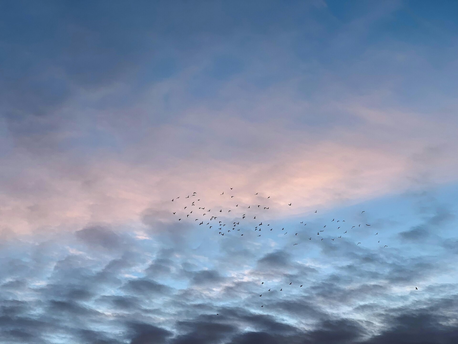 bannière-provisoire-ies