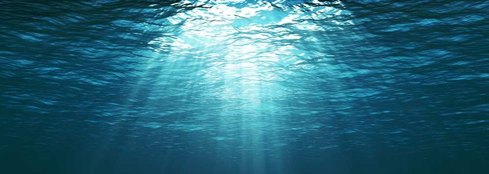 La FMSH rejoint la Plateforme Océan & Climat