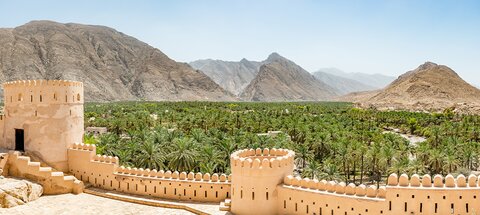 Les oasis du Wādī Ṭīwī. Palmiers, dattes et organisation sociale dans le nord d’Oman