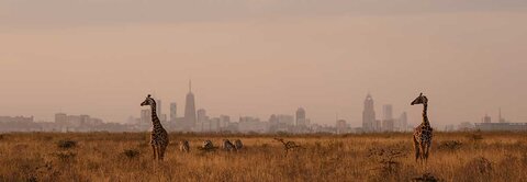 Appel à candidature Atlas France - Afrique de l'Est