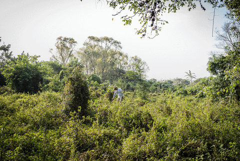 Article Emmanuelle Corne - retour sur le terrain mexicain