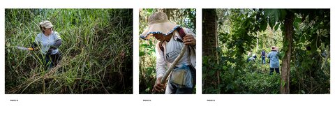 Article Emmanuelle Corne - retour sur le terrain mexicain