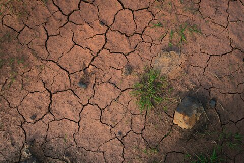 Ontologie des sols