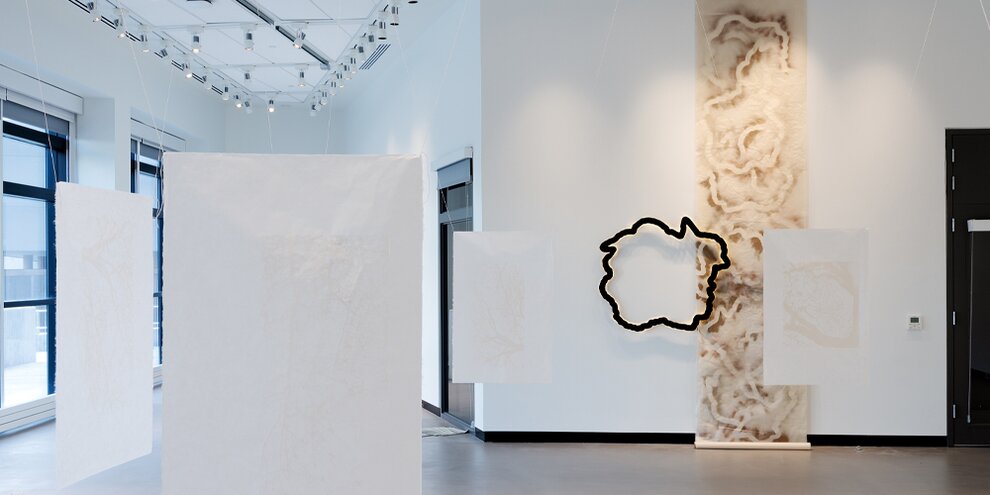 Jeudis de Suger-E. Koeva