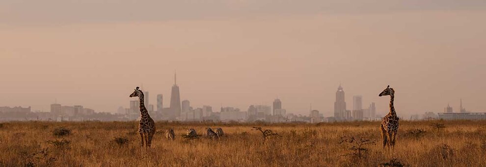 Appel à candidature Atlas France - Afrique de l'Est