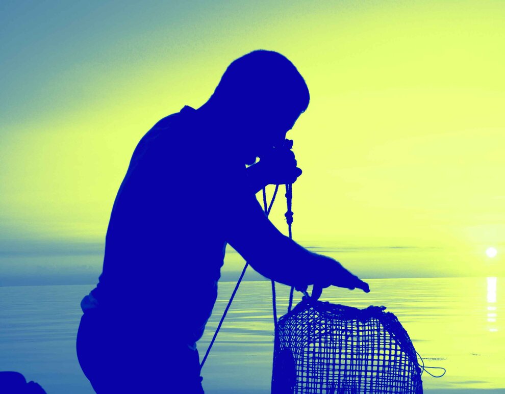 Détails de la couverture du Journal de la FMSH n°3