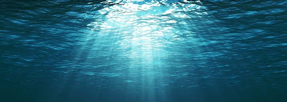 La FMSH rejoint la Plateforme Océan & Climat